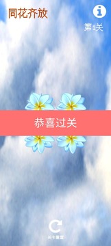 同花齐放